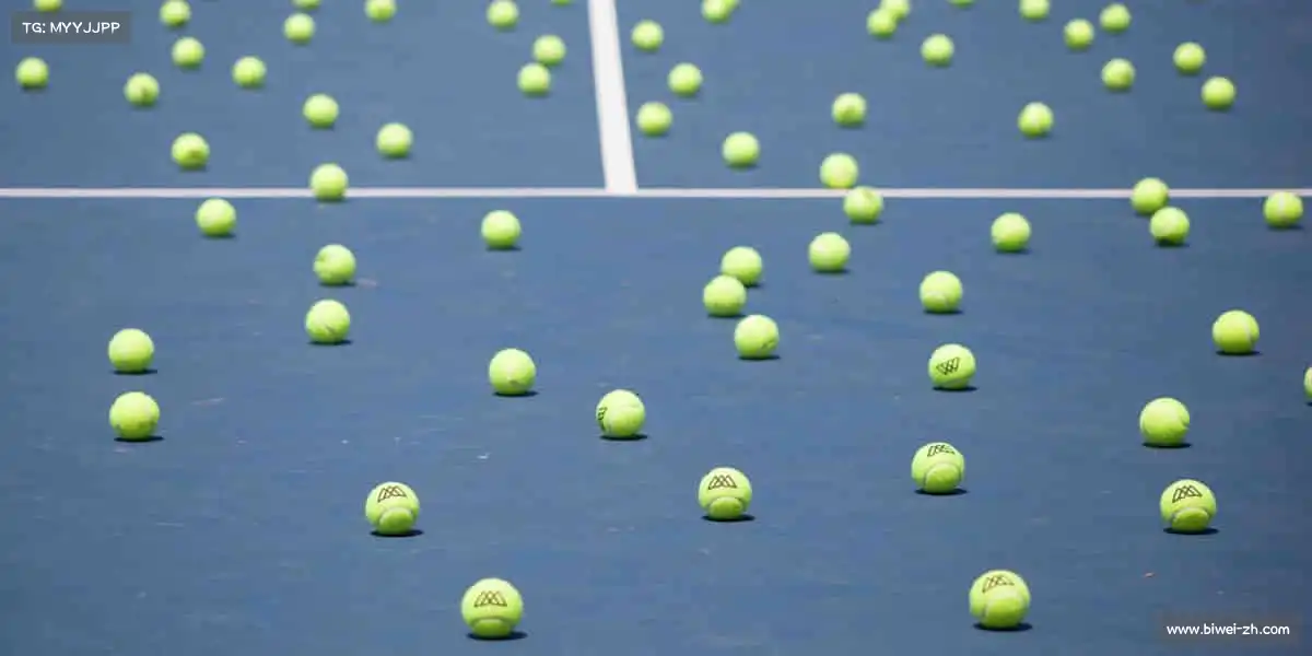 行业领先的理由